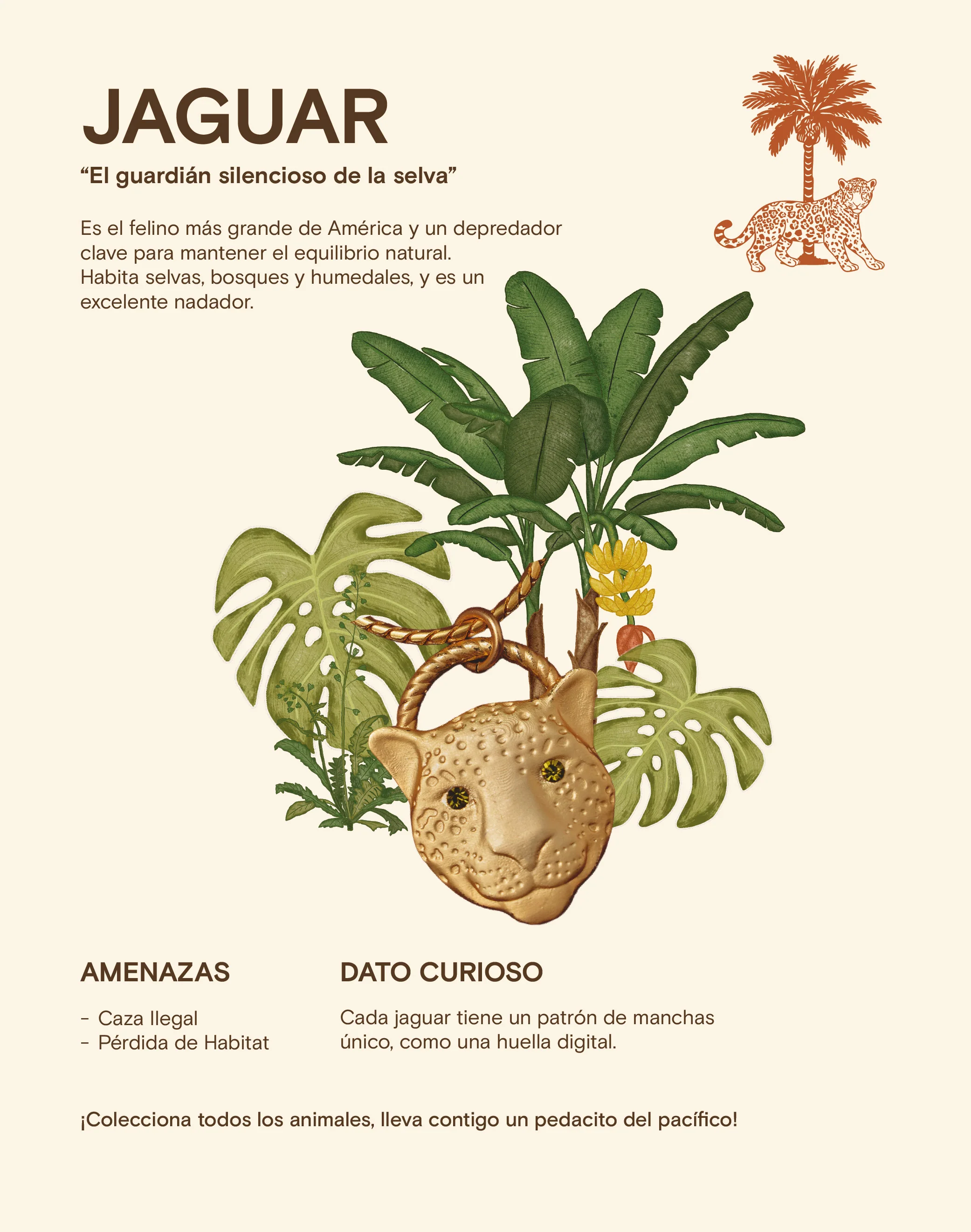 Imagen del producto 14
